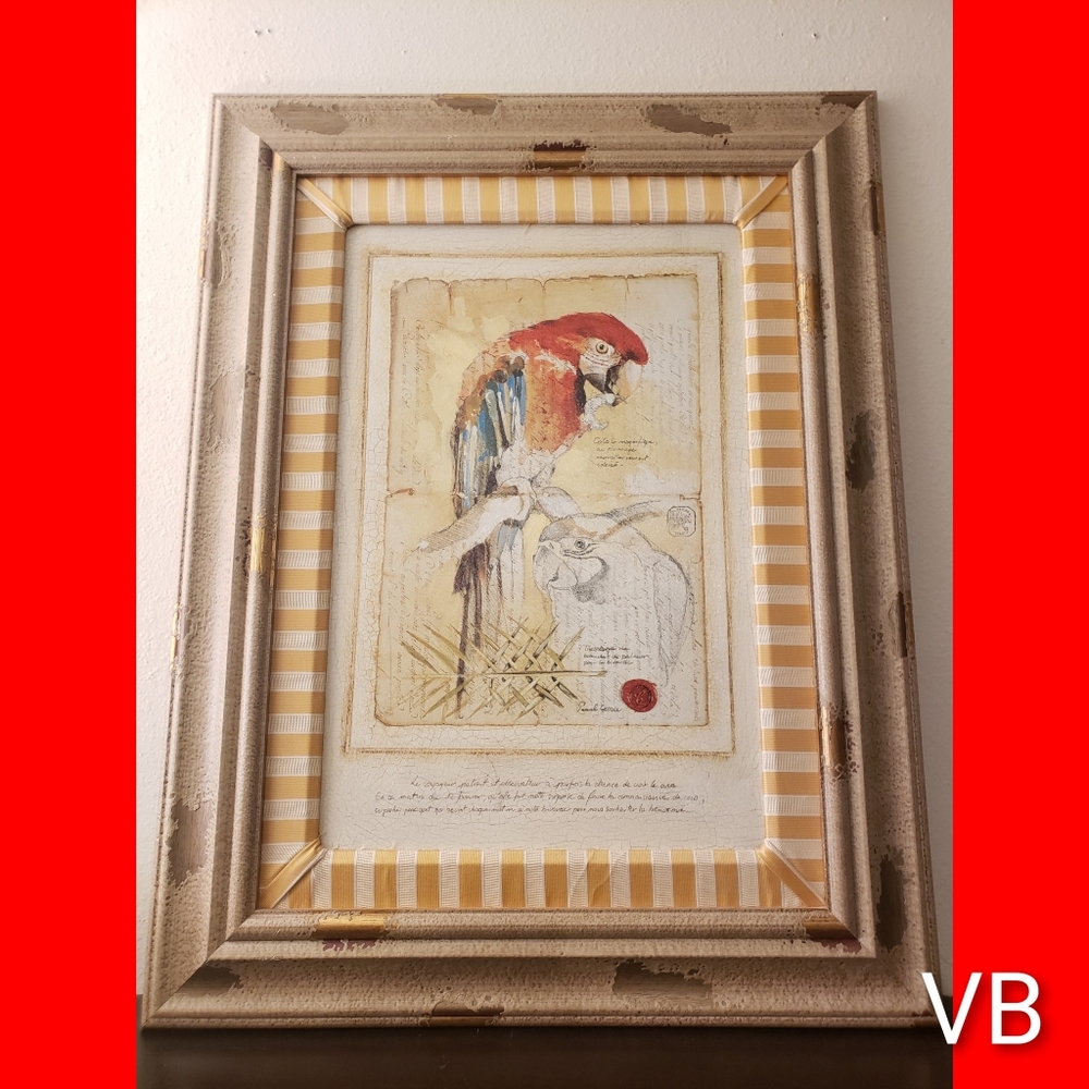 Decorative Professionally Framed Textured Parrot